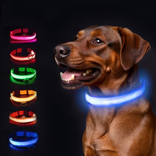 Halsband med LED-belysning