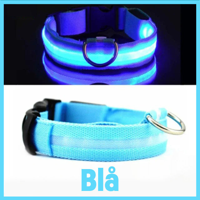 Halsband med LED-belysning