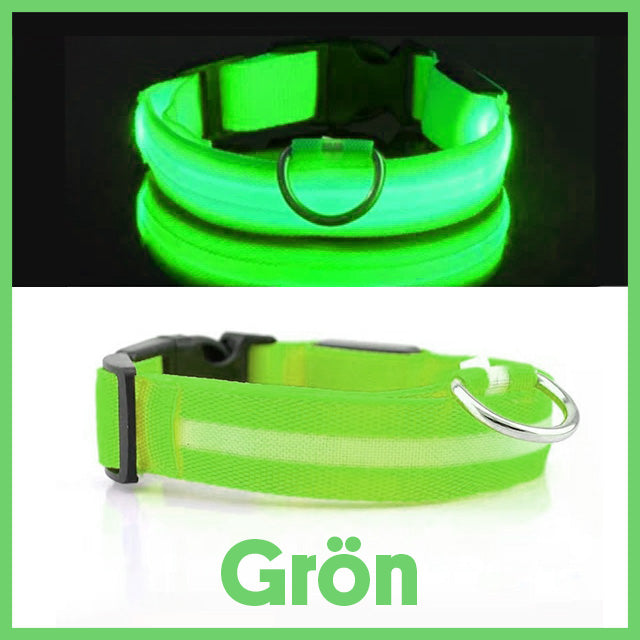 Halsband med LED-belysning