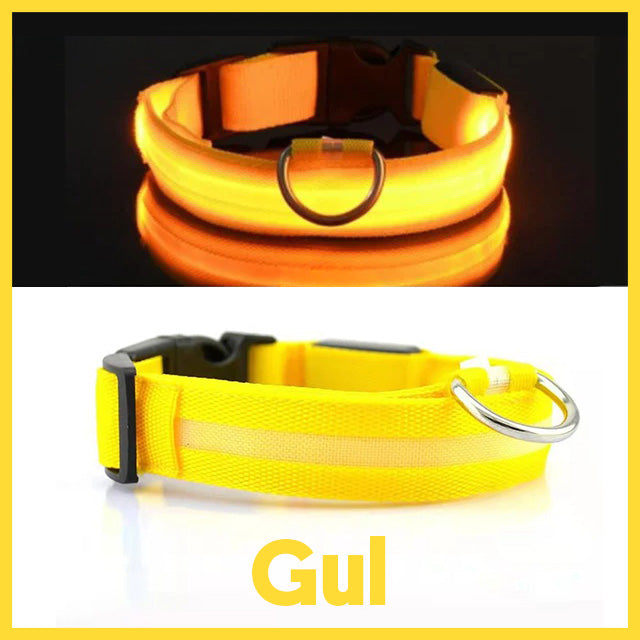 Halsband med LED-belysning