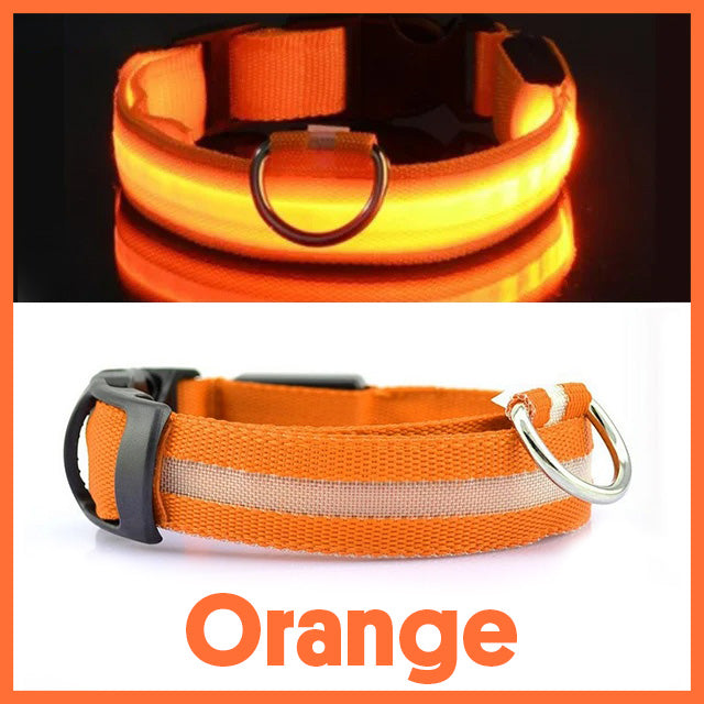 Halsband med LED-belysning