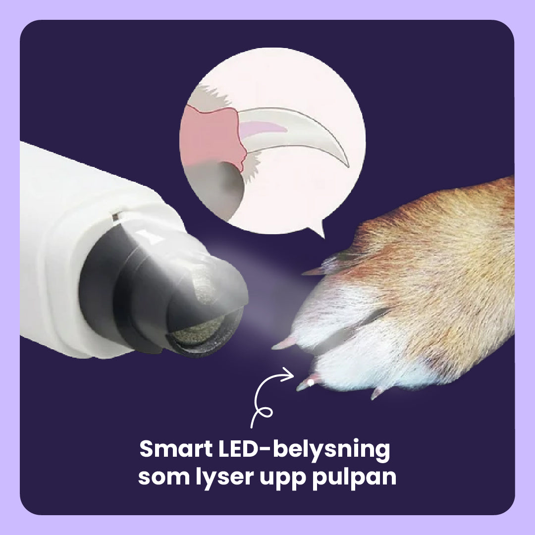 Kloslip - Smärtfri och effektiv kloklippning