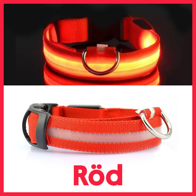 Halsband med LED-belysning