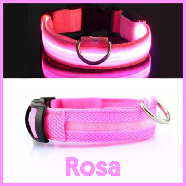 Halsband med LED-belysning